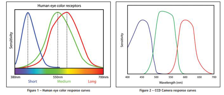 human eyes response CCD camera response sensitivity